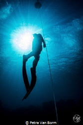 Freediver ascending by Petra Van Borm 
